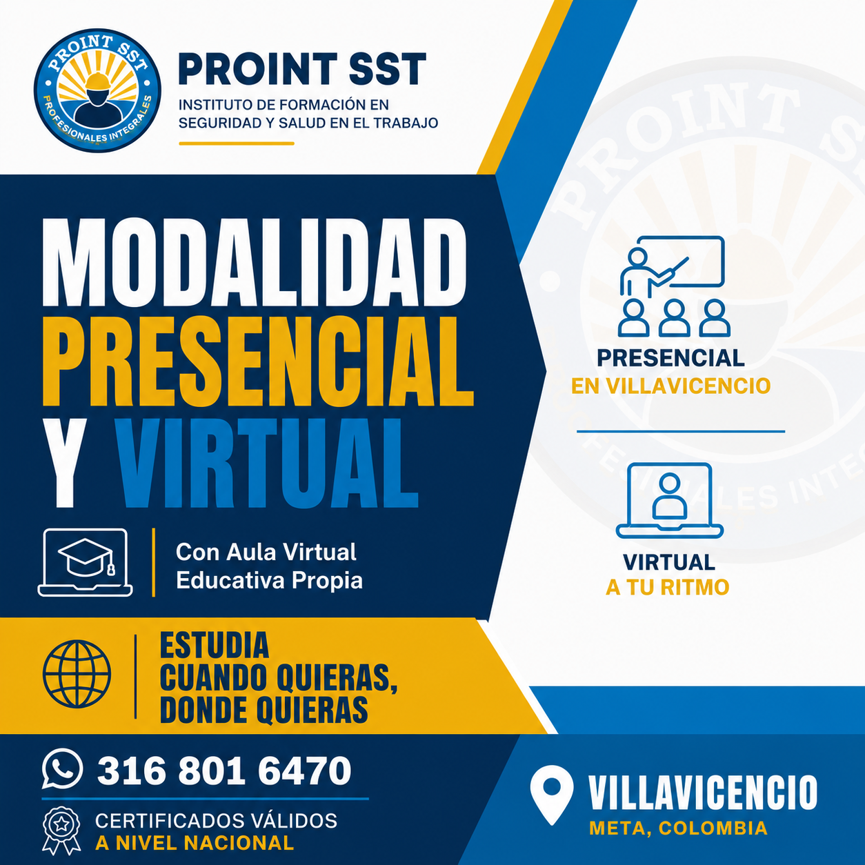 PROINT SST - Modalidad presencial y virtual, con aula virtual educativa propia